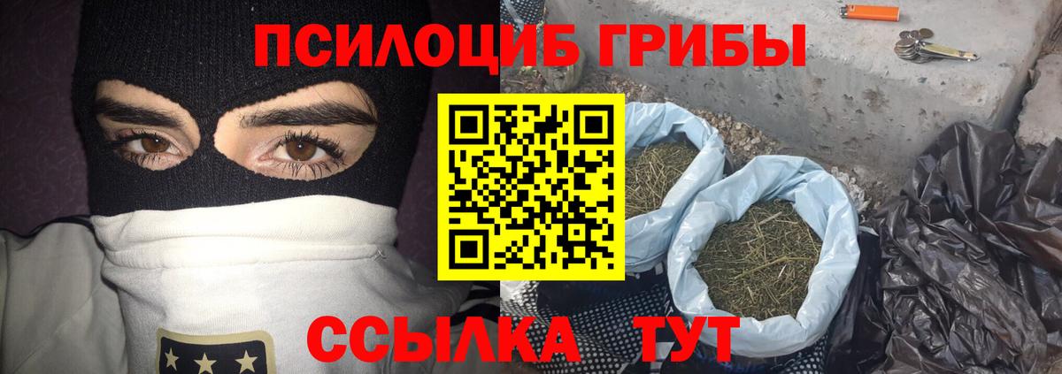 Галлюциногенные грибы прущие грибы Нягань
